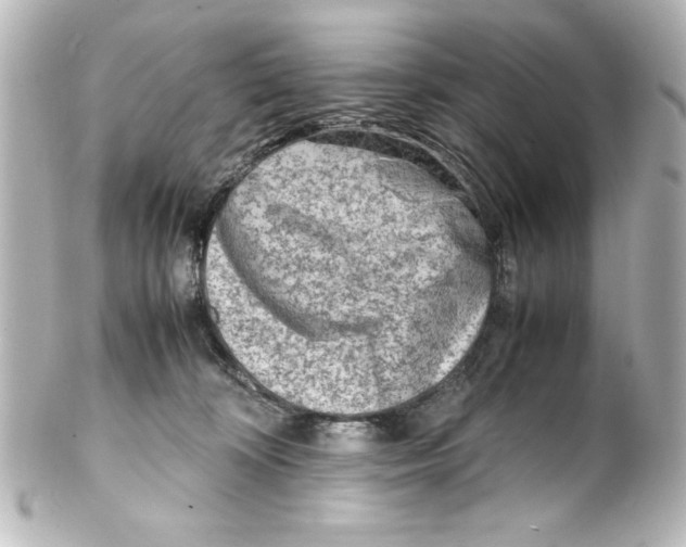 X0000100190324200806271624