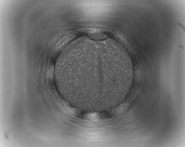 X0000100190325200806271624