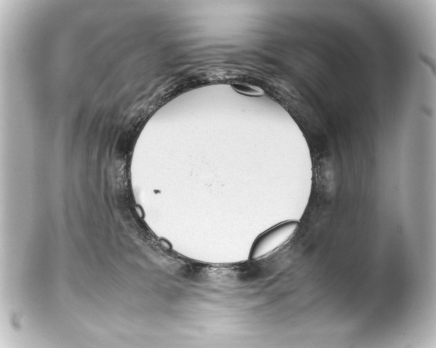 X0000100190327200806271624