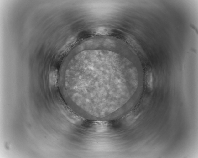 X0000100190328200806271624