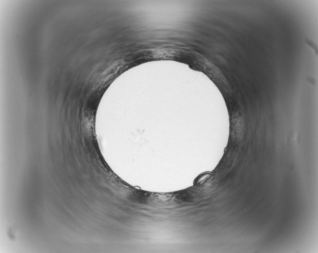 X0000100190329200806271624