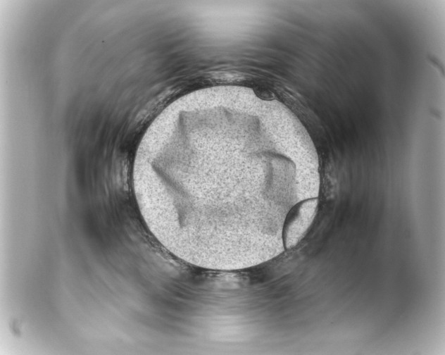 X0000100190330200806271624