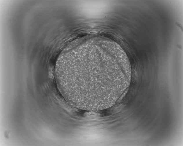 X0000100190331200806271624