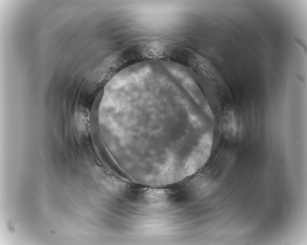 X0000100190332200806271624