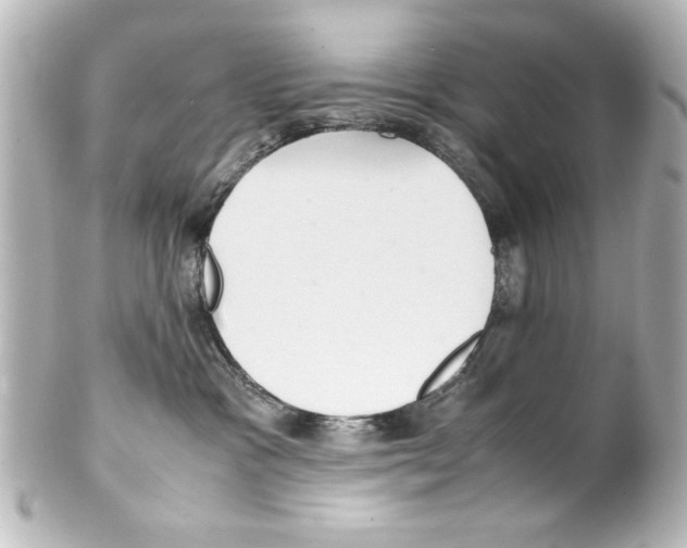 X0000100190333200806271624