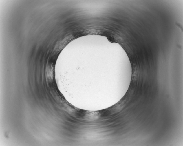 X0000100190334200806271624