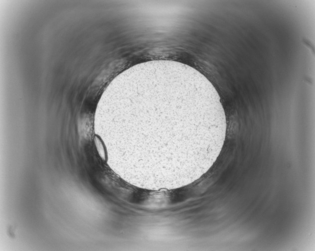 X0000100190335200806271624