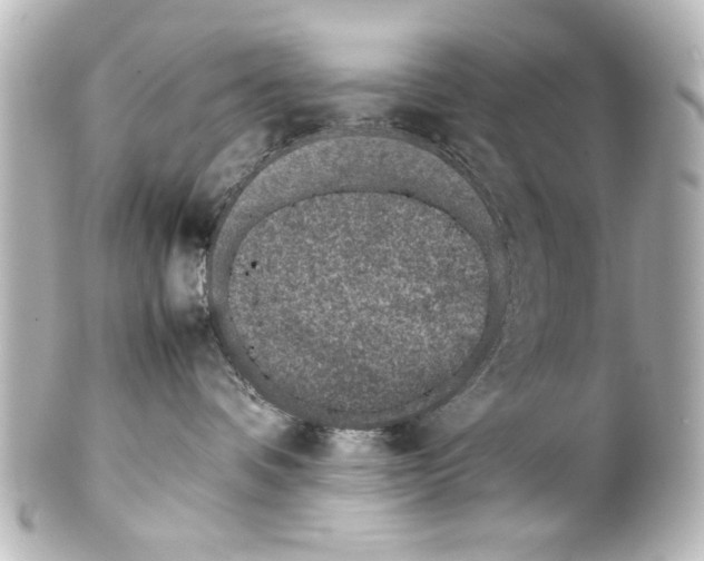 X0000100190336200806271624