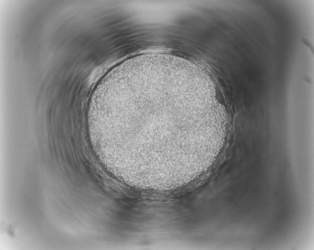 X0000100190337200806271623