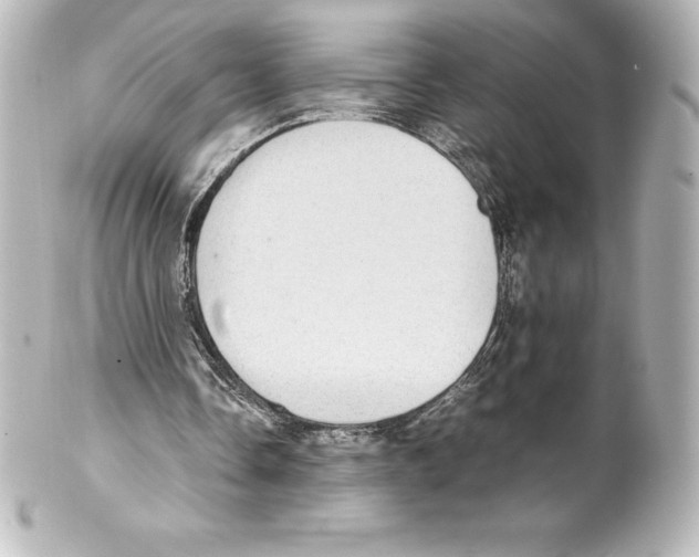 X0000100190338200806271623