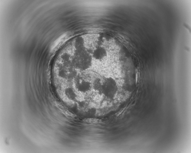 X0000100190339200806271623