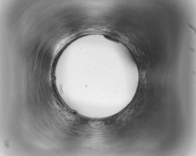 X0000100190340200806271624
