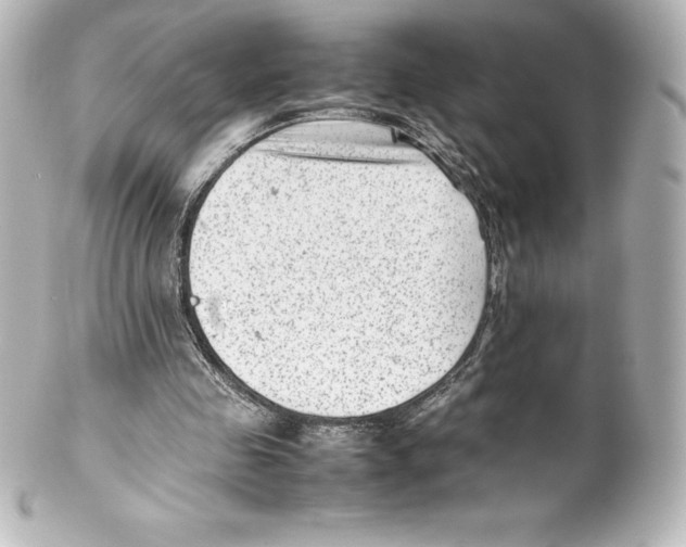 X0000100190341200806271624