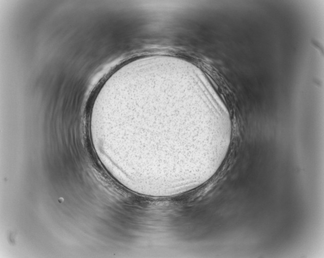 X0000100190342200806271624