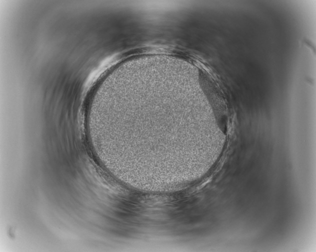 X0000100190343200806271624