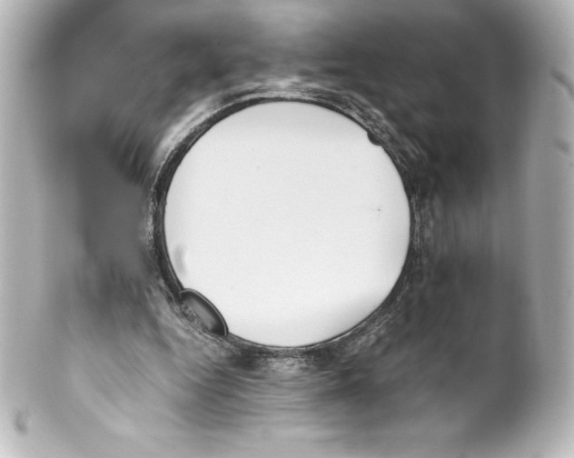 X0000100190344200806271624