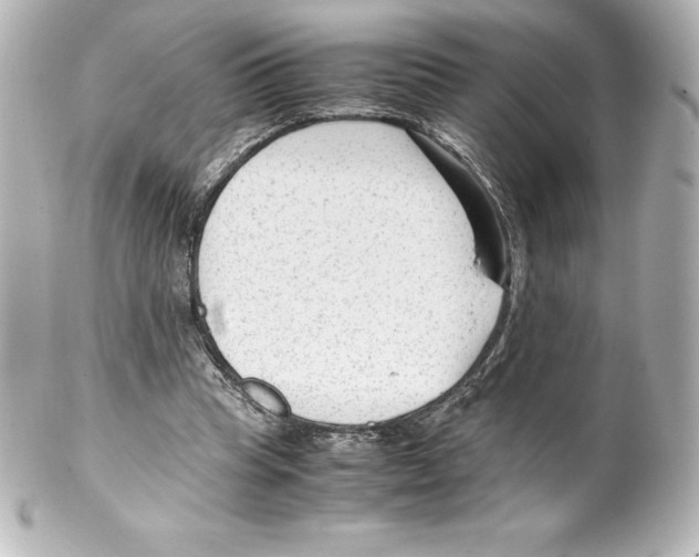 X0000100190345200806271624