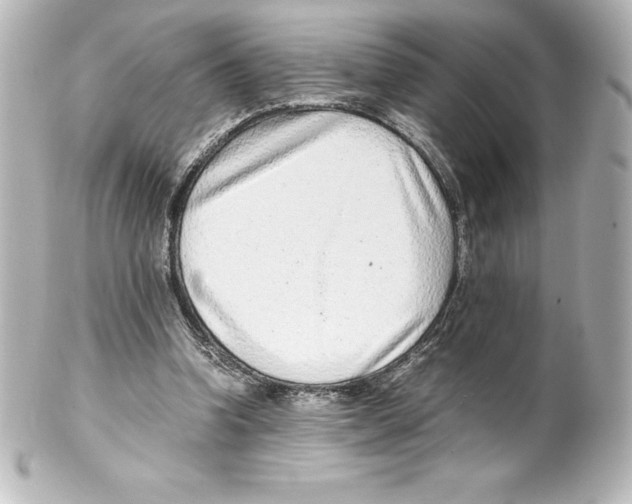 X0000100190346200806271624