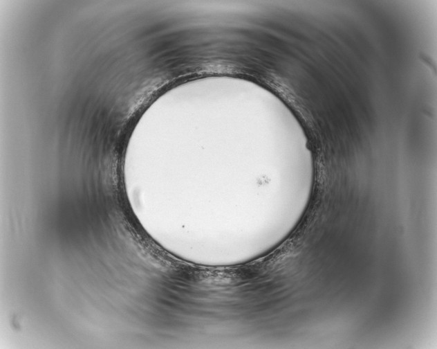 X0000100190347200806271624
