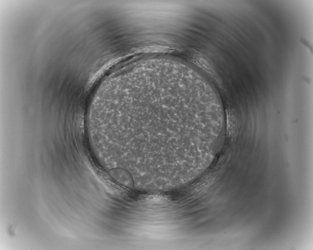 X0000100190348200806271624