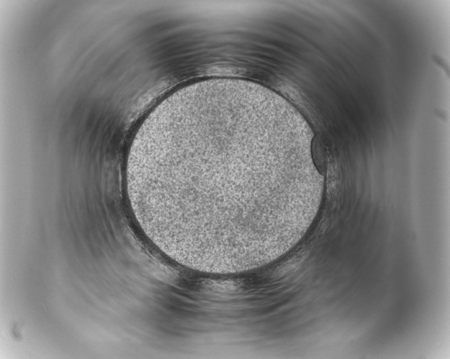 X0000100190349200806271624