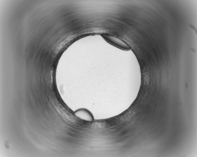 X0000100190350200806271624