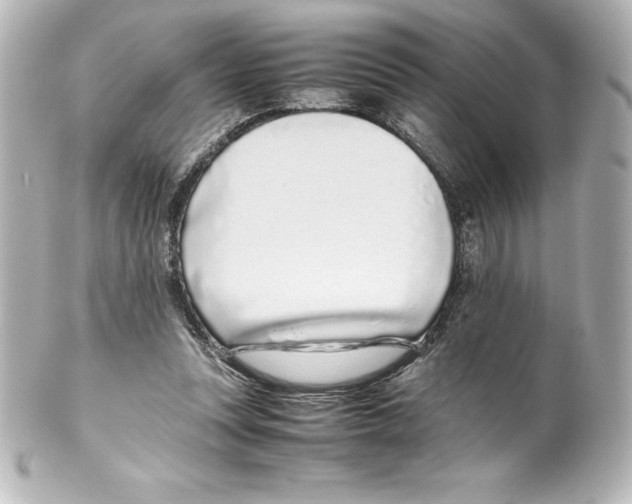 X0000100190351200806271624