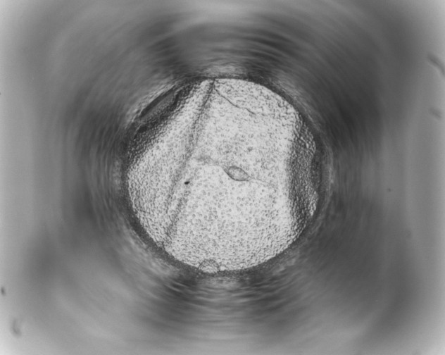 X0000100190353200806271624