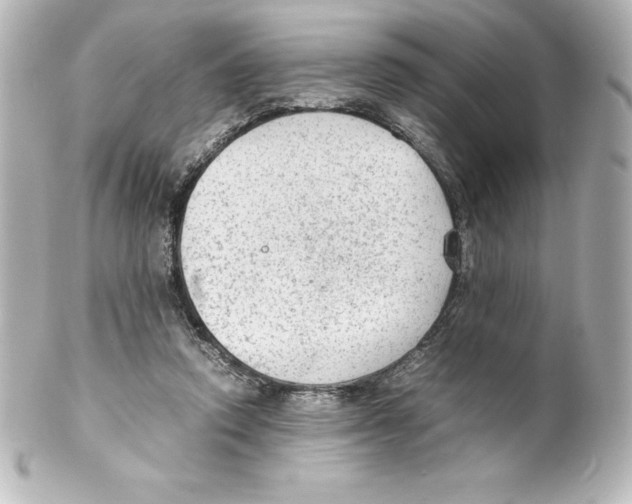 X0000100190354200806271624
