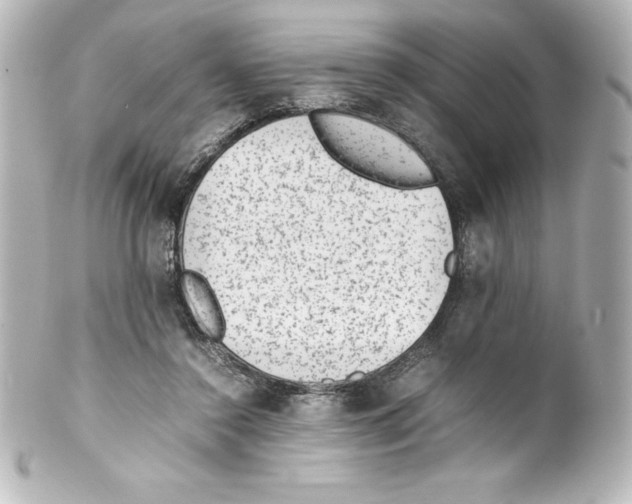 X0000100190356200806271624