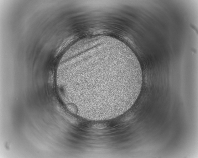 X0000100190357200806271624