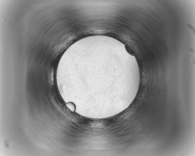 X0000100190358200806271624