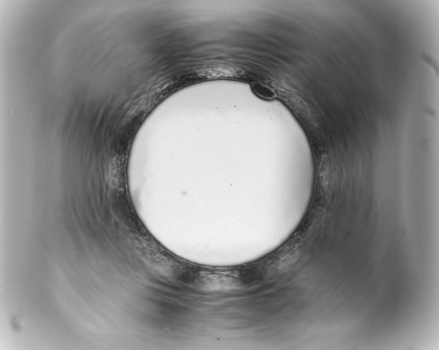 X0000100190359200806271624