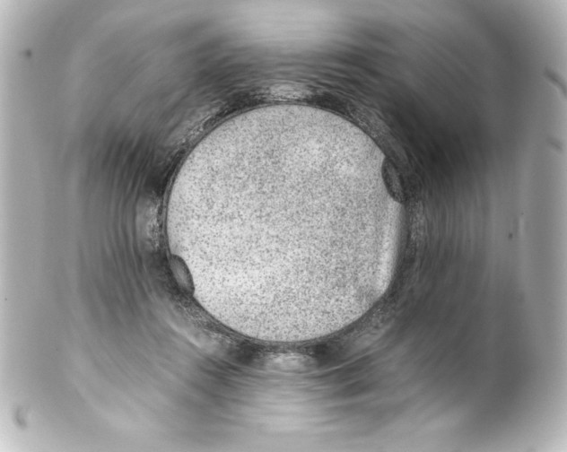 X0000100190360200806271624