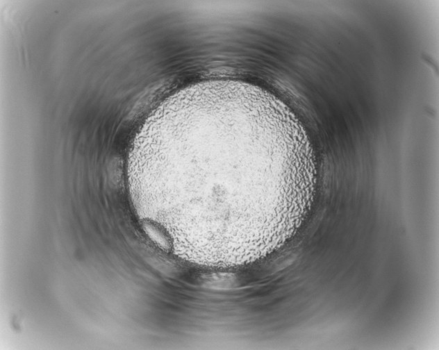 X0000100190361200806271624