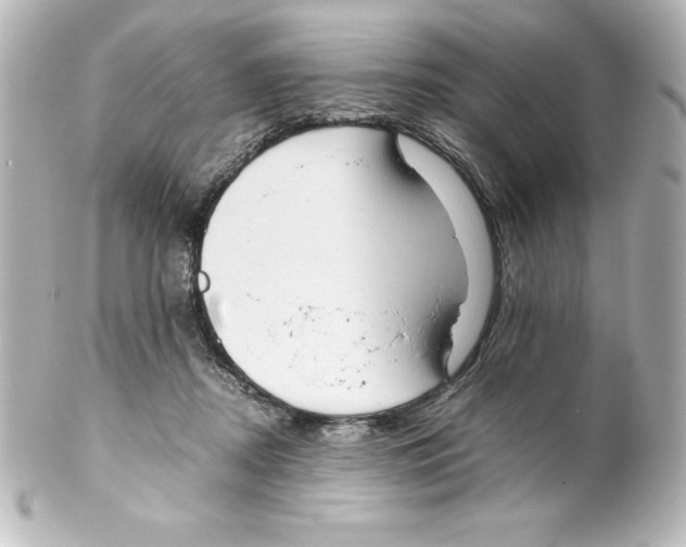 X0000100190362200806271624