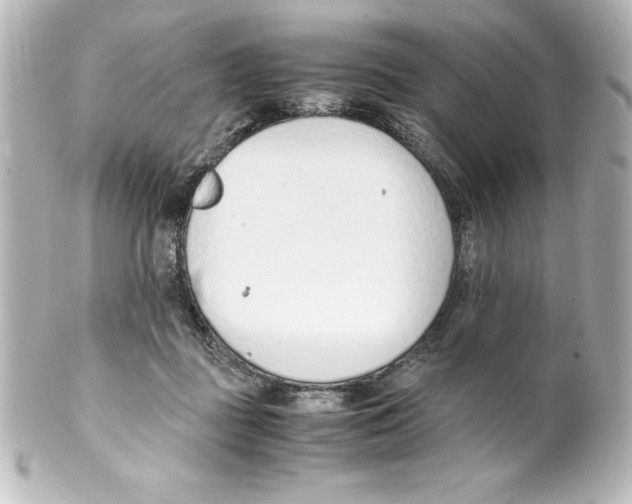 X0000100190363200806271624
