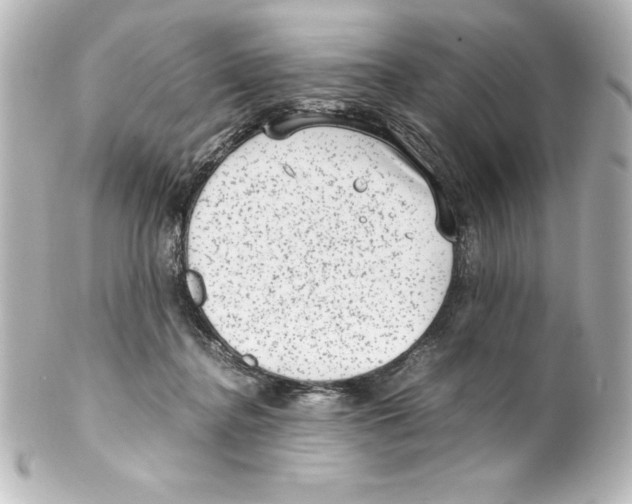X0000100190364200806271624