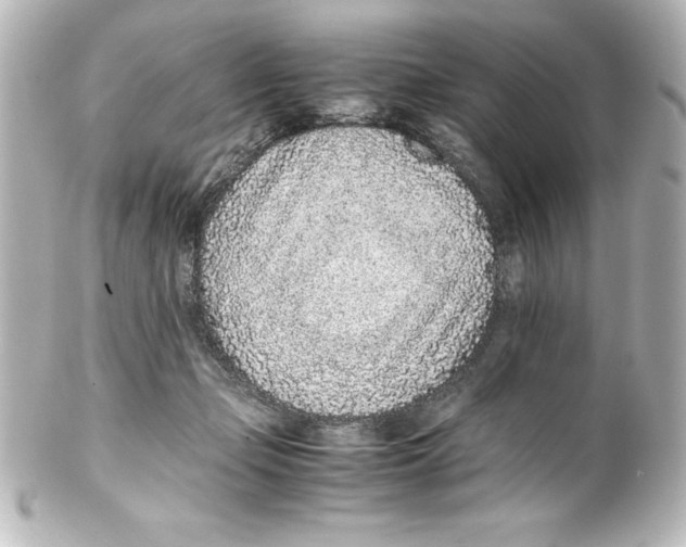 X0000100190365200806271624