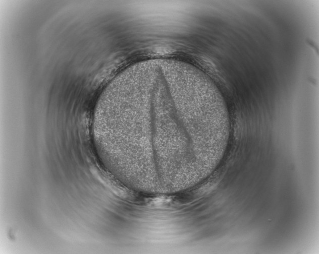 X0000100190366200806271624