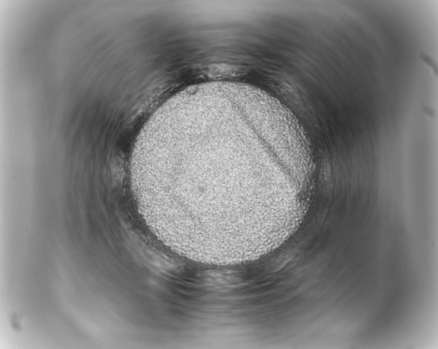 X0000100190367200806271624