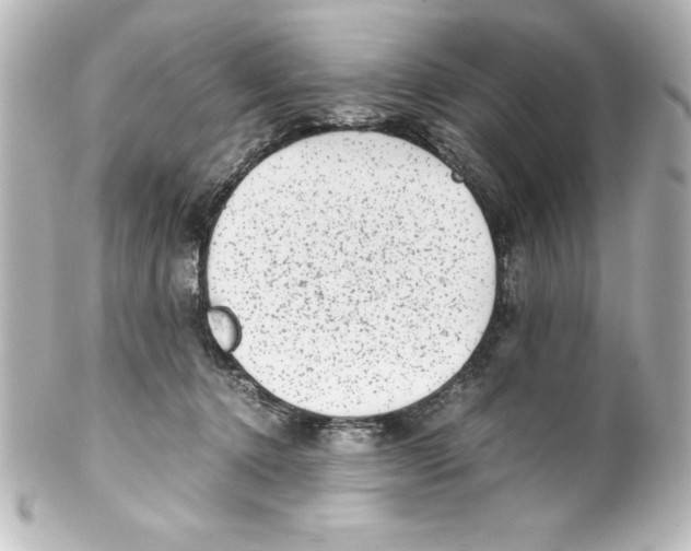 X0000100190368200806271624