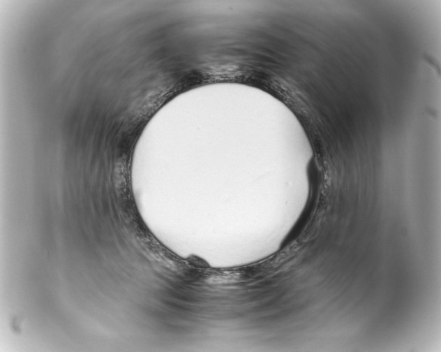 X0000100190369200806271624