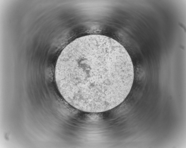 X0000100190370200806271624
