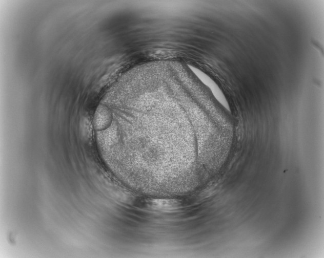 X0000100190371200806271624