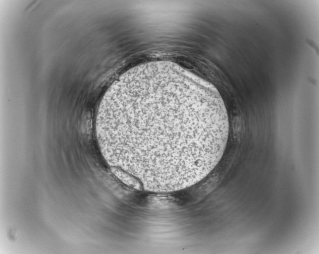 X0000100190372200806271624