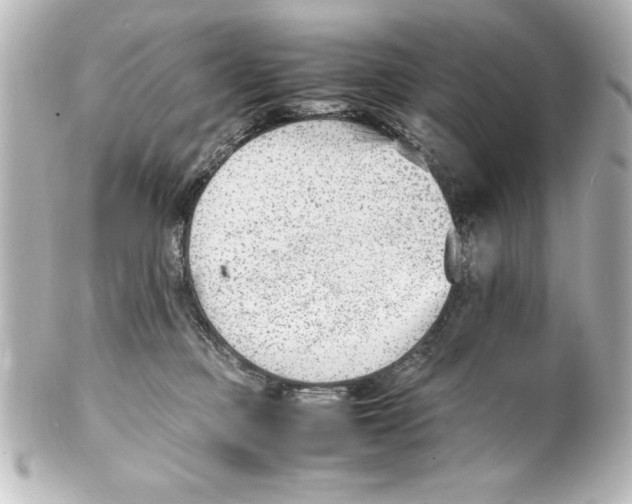 X0000100190373200806271624