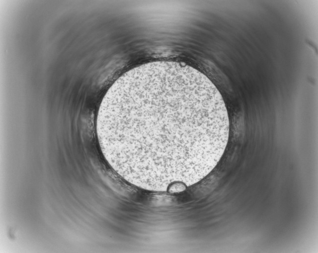 X0000100190376200806271624