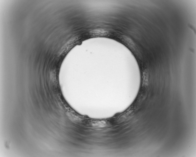 X0000100190377200806271624