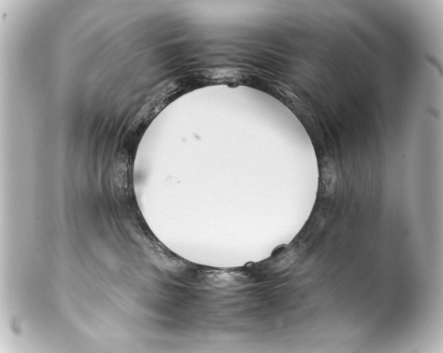 X0000100190379200806271624